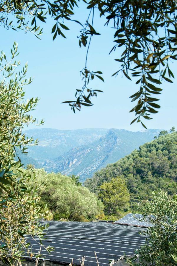 Le Ortensie Dolceacqua Esterno foto